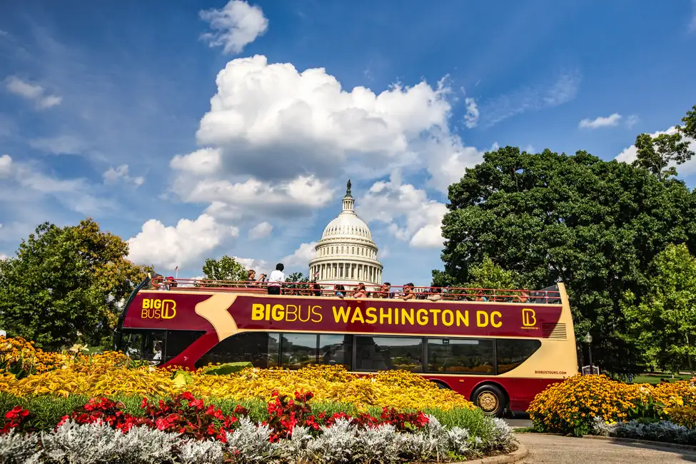 DC: Hop-On Hop-Off with 17 Stops and Arlington Walking Tour