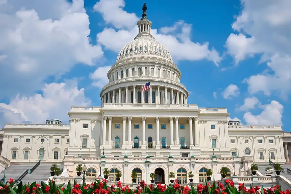 Da NYC: gita di un giorno guidata a Washington DC in furgone o autobus
